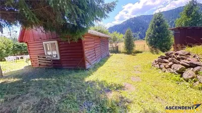 3D&FILM! Refugiu de vacanta, in pitorescul cadru: Lunca Bradului, Mures. - foto 24
