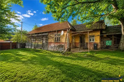 FILM! Domeniu de 6.221mp, livada pomi fructiferi+casa si anexe,Lemnia, Covasna - foto 2
