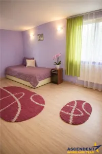 Casa potential:activitati comerciale, birouri, locuire multifamiliala,677 mp teren - foto 11