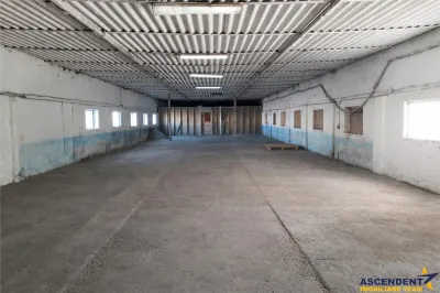 Hala industriala versatila,spatii cazare, platforma betonata,2.300 mp,Halchiu - foto 2