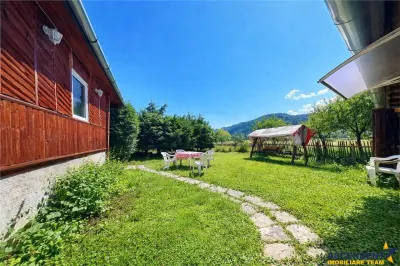 FILM &Tur LIVE! Casa de vacanta, intr- o ariere admirabila, Lunca Bradului, Mures. - foto 7