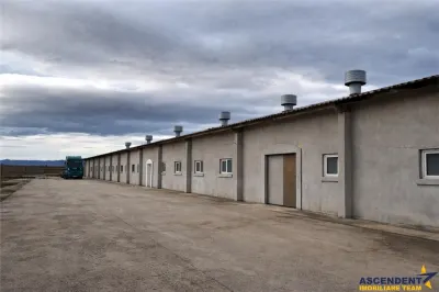 Hala industriala versatila,spatii cazare, platforma betonata,2.300 mp,Halchiu - foto 6