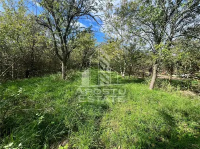 Casa cu 4 camere si teren de 2698 mp in zona Freidorf - foto 11