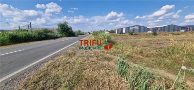 Teren intravilan 5.756 mp cu acces direct la Șoseaua de Centură – Alba Iulia, zonă industrială - Alba Iulia
