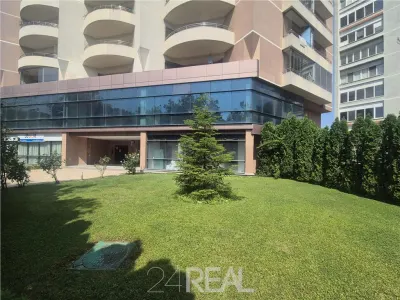 Vanzare Spatiu comercial stradal - Parter si Mezanin - 900 mp - foto 19