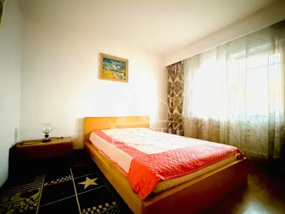 Apartament 2 camere zona Banu Maracine - foto 6