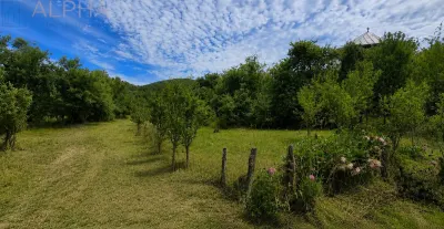 CASA CU TEREN GENEROS IN HERINA, BN – OPORTUNITATE DE INVESTITIE TURISTICA SAU REZIDENTIALA - foto 17