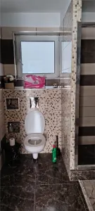 Casa 4 camere de vanzare/ inchiriat Gimnaziului finisaje premium - foto 5