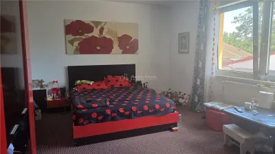 Casa P+E, teren 160 mp - Valea Rosie - foto 2