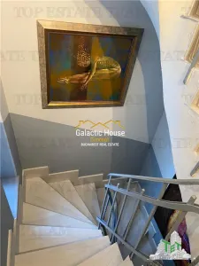 CASA SPECTACULOASA DOROBANTI CAPITALE PRETABILA FIRMA SAU REZIDENTA - foto 19