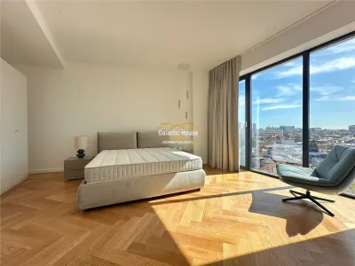 PENTHOUSE/DUPLEX SPECTACULOS PIATA VICTORIEI -300 MP - foto 11
