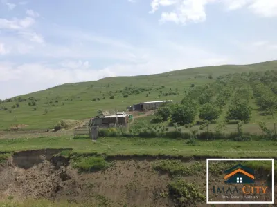 Teren, 10000 mp, Targu Frumos - foto 3