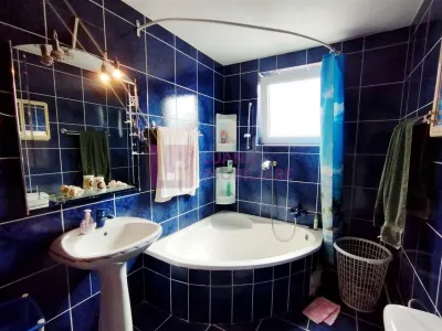 Casa individuala cu spatiu comercial | Turnisor | teren 480 mp | video - foto 15