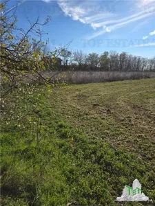 Teren intravilan, 3751mp oportunitate de investitie, cu utilitati, comuna Daia, judetul Giurgiu - foto 3