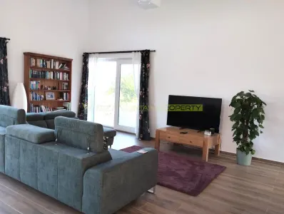 Vanzare casa 5 camere,  pe un nivel, 2021, vedere lac Snagov, - foto 7