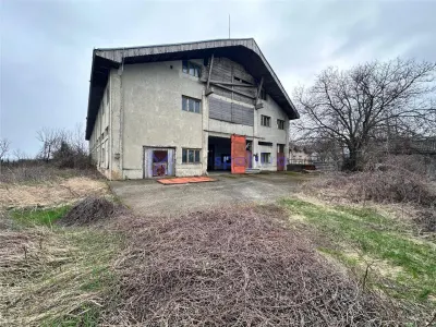 Hala, spatiu comercial, vad, de la 423mp la 1744mp, Vama Albita - foto 8