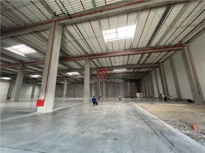 Inchiriere depozit/hala/spatiu industrial Theodor Pallady - Cernica - A2 - A0 - Manolache - foto 15