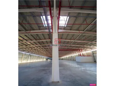 Vanzare depozit/hala/spatiu industrial Theodor Pallady - Drumul Intre Tarlale - Oxigenului - foto 9