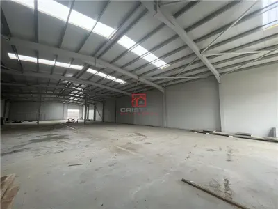 Vanzare depozit/hala/spatiu industrial Chiajna - Centura - Rudeni - foto 3