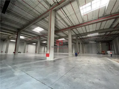 Inchiriere depozit/hala/spatiu industrial Theodor Pallady - Cernica - A2 - Manolache - foto 14