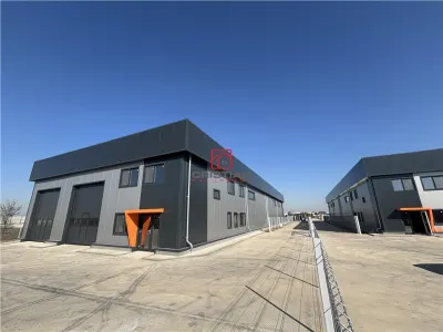 Vanzare depozit/hala/spatiu industrial Chitila - Centura - Rudeni - foto 2