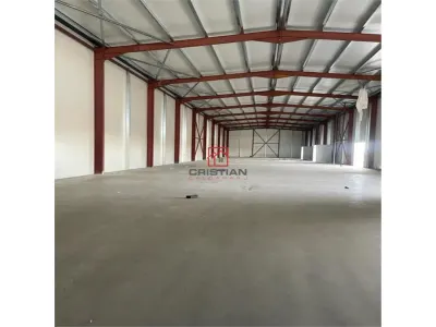 Vanzare depozit/hala/spatiu industrial Theodor Pallady - Drumul Intre Tarlale - Oxigenului - foto 5