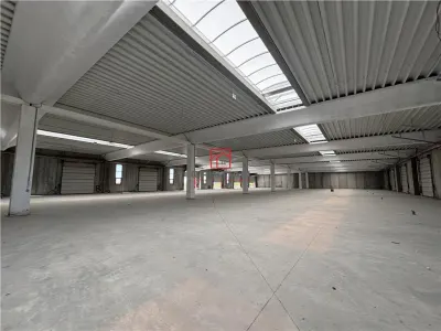 Vanzare depozit/spatiu industrial/hala Chitila - Rudeni, ILFOV - foto 10