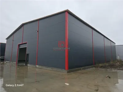Inchiriere depozit/hala/spatiu industrial Theodor Pallady - Gara Catelul - foto 10