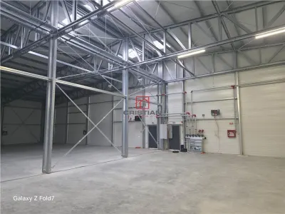 Inchiriere depozit/hala/spatiu industrial Mogosoaia - Buftea - foto 18