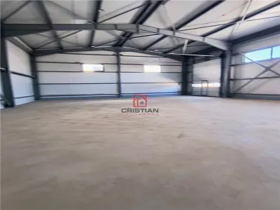 Inchiriere depozit/hala/spatiu industrial Domnesti - Centura - foto 7