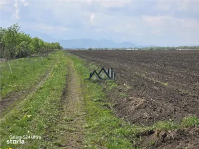 Oportunitate de investiție cu Exclusivitate! BOD, teren agricol! - foto 6