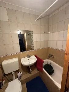 Langa Giovana Bucovina cu acoperis ideala pt investitie - foto 4