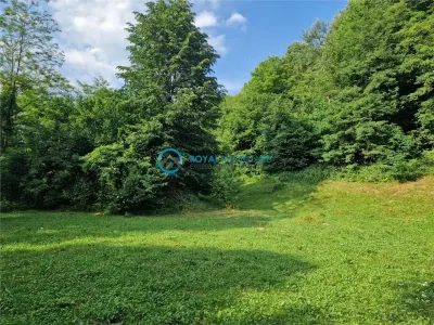 Royal Imobiliare - Vanzare teren intravilan Valea Tarsei - Breaza - foto 5