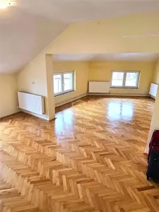 O proprietate rara | Locuinta generoasa + spațiu comercial cu acces stradal - foto 14