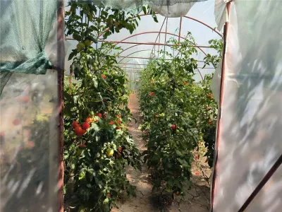 Casa de vanzare in sat Novaci ,teren de 865 mp, acces asfaltat,Ocazie! - foto 18