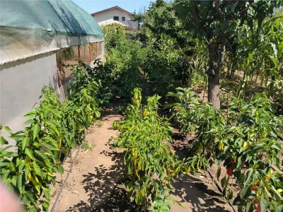 Casa de vanzare in sat Novaci ,teren de 865 mp, acces asfaltat,Ocazie! - foto 9