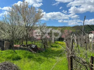 Teren 3940 mp cu livadă si bonus Casa la tara in zonă liniștită - foto 5