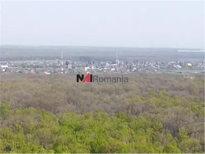 Vanzare Teren Central, Moara Vlasiei - foto 2