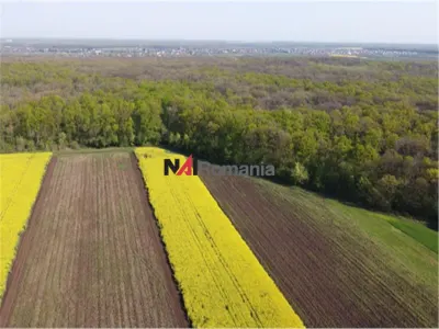 Vanzare Teren Central, Moara Vlasiei - foto 4
