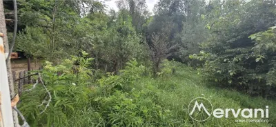 Teren de vanzare 15000 mp in Telega - foto 11