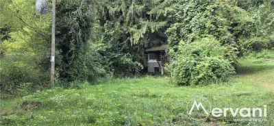 Teren de vanzare 15000 mp in Telega - foto 4