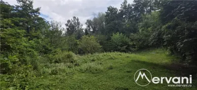 Teren de vanzare 15000 mp in Telega - foto 5