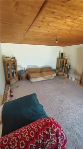 RECO Casa in Nojorid  cu teren generos - foto 9