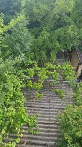 Apartament la vila cu garaj, Zona Dealului - foto 10