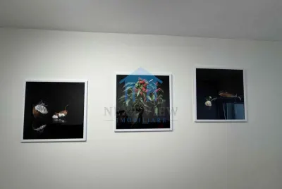 Apartament 1 camera, Zorilor - foto 8