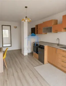 Apartament 2 camere, Plopilor - foto 4