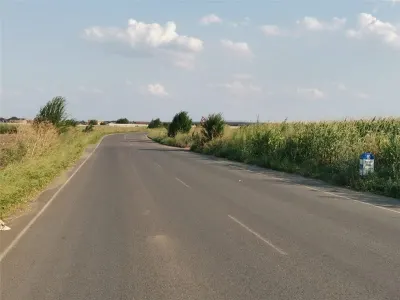 Teren de vanzare 42000mp - foto 4