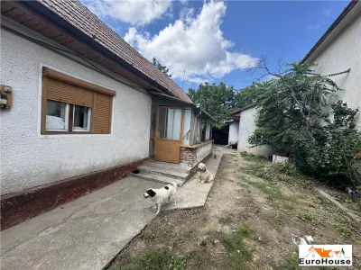 Casa de inchiriat cu teren 1000 mp in Alba Iulia - foto 5