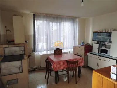 Casa Cernisoara - foto 5