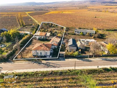 FILM! Domeniu de 4.000 mp intravilan+ casa autentica, in podgoriile Odobesti,Vrancea - foto 2